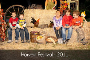Harvest Festival - 2011